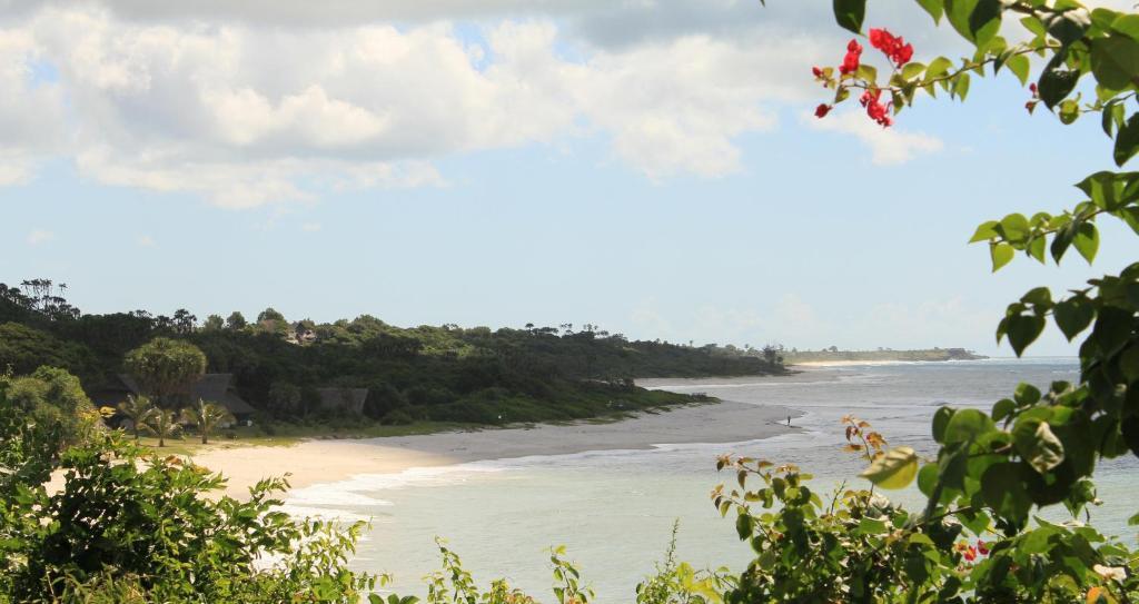 Amani Beach Resort Kutani Bagian luar foto