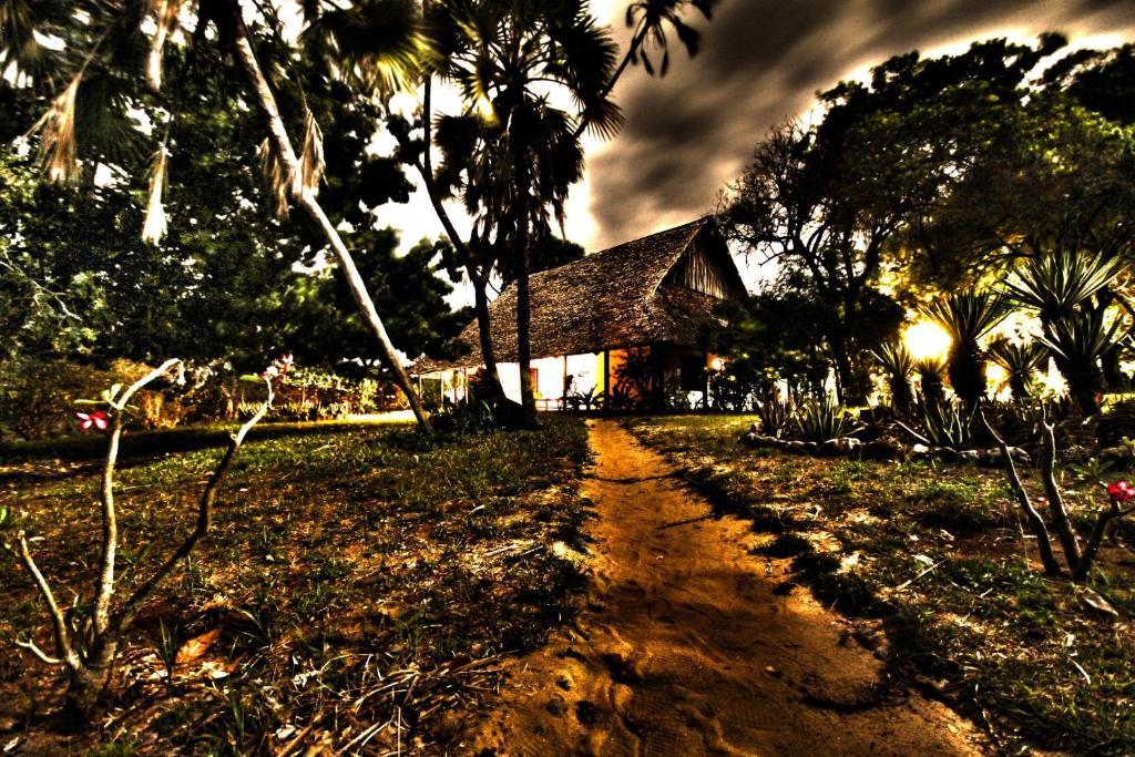 Amani Beach Resort Kutani Bagian luar foto