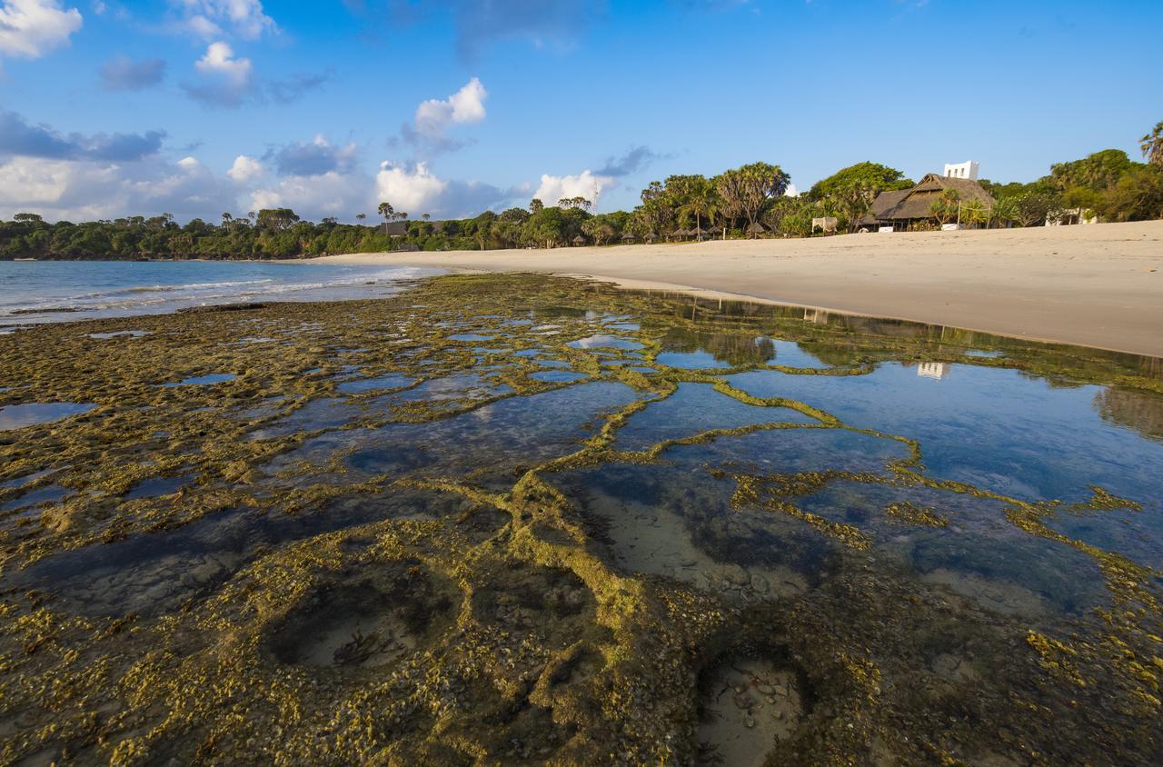 Amani Beach Resort Kutani Bagian luar foto